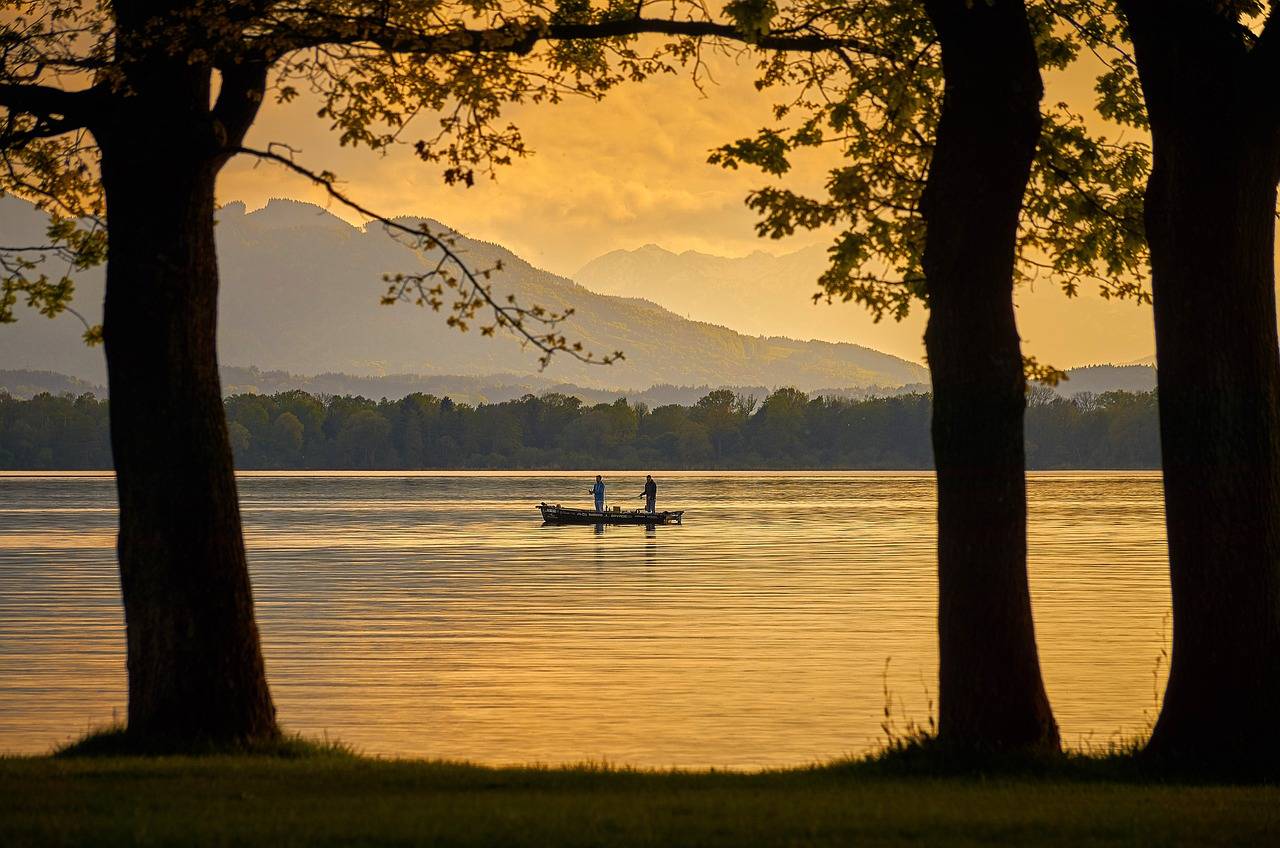 boat, lake, trees-4269033.jpg